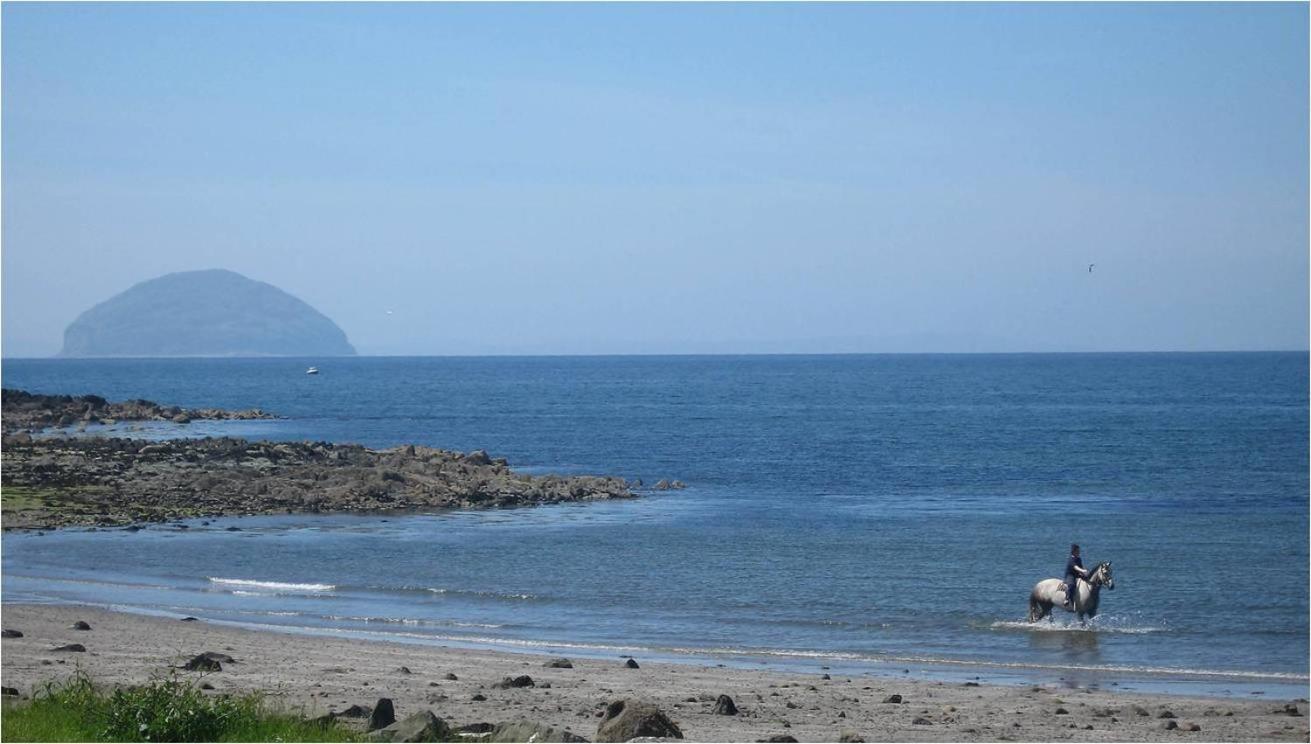 Woodland Bay Hotel Girvan Extérieur photo